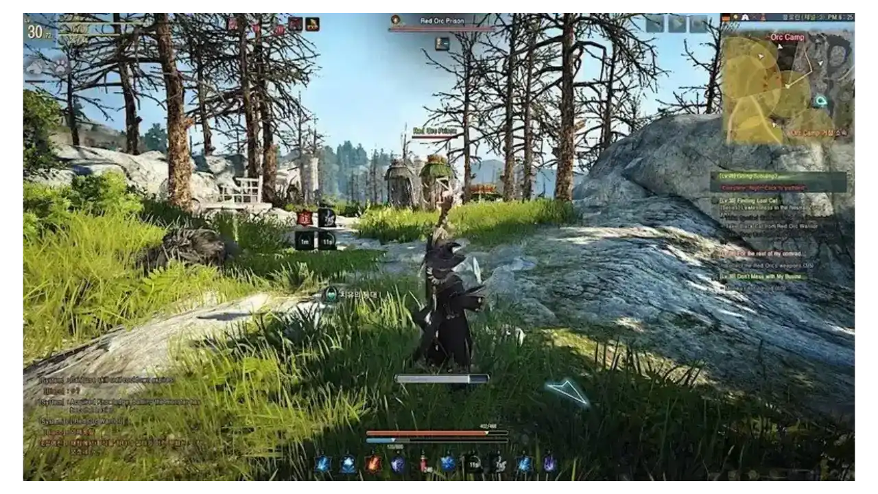 Black Desert Online Black Desert Online
