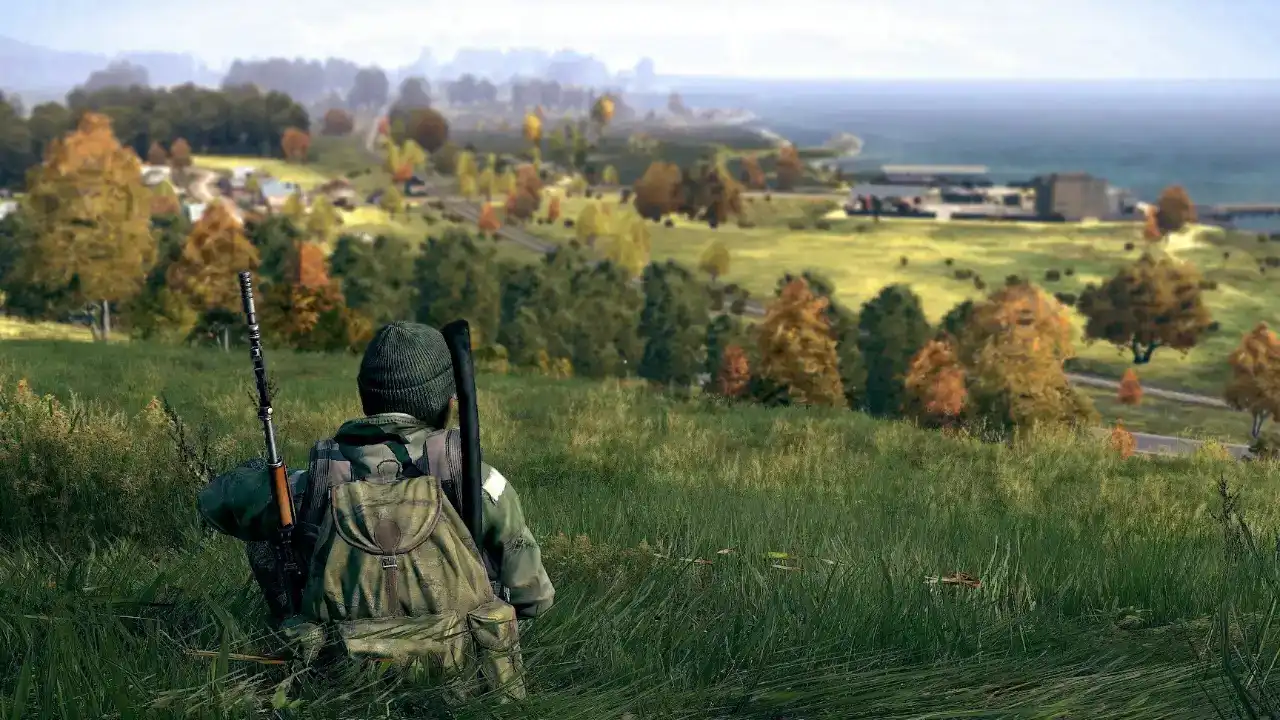 DayZ DayZ