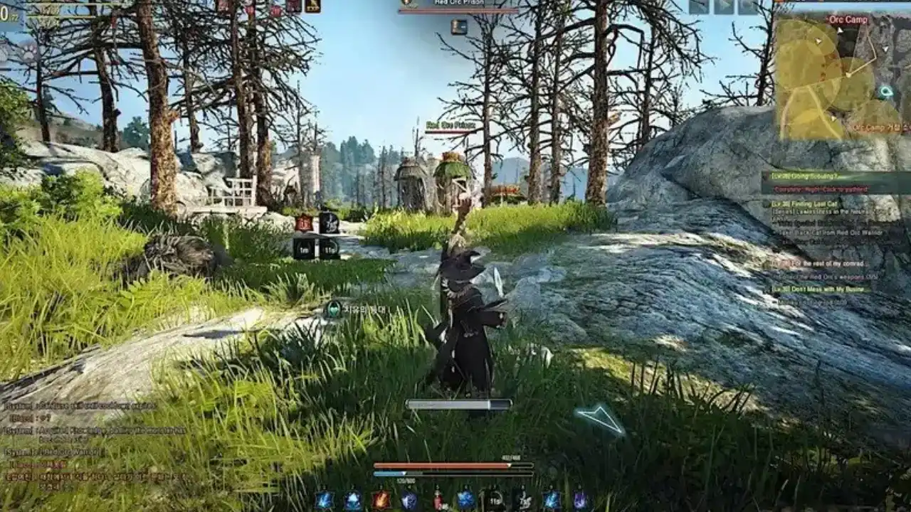 Black Desert 